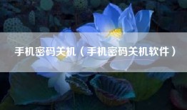 手机密码关机（手机密码关机软件）