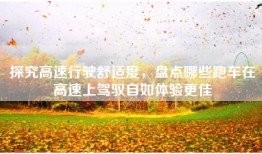 探究高速行驶舒适度，盘点哪些跑车在高速上驾驭自如体验更佳