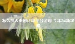怎么加入美团订单平台团购 今年Zui新攻略