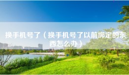 换手机号了（换手机号了以前绑定的东西怎么办）