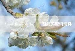 Smart Keywords Tool – 智能关键词插件