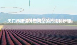 天门市建设外贸网站的方法和步骤