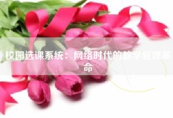 校园选课系统：网络时代的教学管理革命
