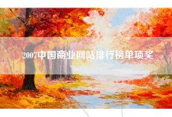 2007中国商业网站排行榜单项奖