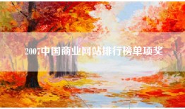 2007中国商业网站排行榜单项奖