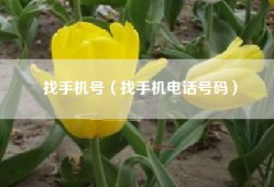找手机号（找手机电话号码）