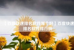 【百度快速排名软件哪个好】百度快速排名软件排行榜