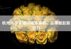 杭州抖音关键词精炼策略，品牌崛起新动力