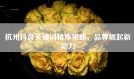 杭州抖音关键词精炼策略，品牌崛起新动力