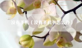 没有手机（没有手机卡怎么办）