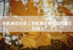 手机测试分贝（手机测试分贝软件哪个好用）