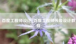 百度工程师设计_百度工程师等级设计教程