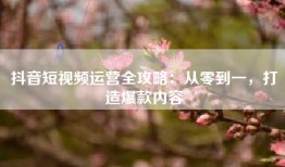 抖音短视频运营全攻略：从零到一，打造爆款内容
