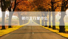 银行支行是什么