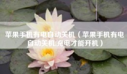 苹果手机有电自动关机（苹果手机有电自动关机,充电才能开机）