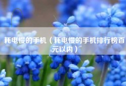 耗电慢的手机（耗电慢的手机排行榜百元以内）
