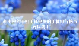 耗电慢的手机（耗电慢的手机排行榜百元以内）