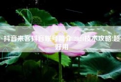 抖音来客抖音账号简介 2024技术攻略!超好用