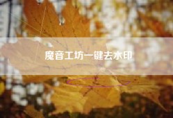 魔音工坊一键去水印