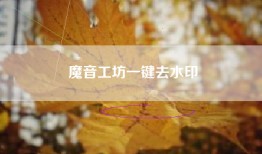 魔音工坊一键去水印