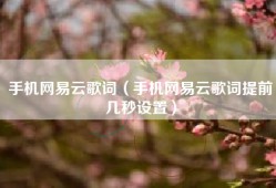 手机网易云歌词（手机网易云歌词提前几秒设置）