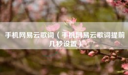 手机网易云歌词（手机网易云歌词提前几秒设置）