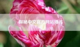 探秘中文官方网站排名