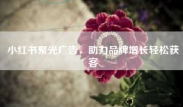 小红书聚光广告，助力品牌增长轻松获客
