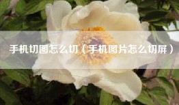 手机切图怎么切（手机图片怎么切屏）
