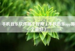 手机音乐软件哪个好用（手机音乐app哪个最好）