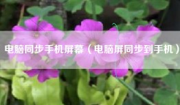 电脑同步手机屏幕（电脑屏同步到手机）