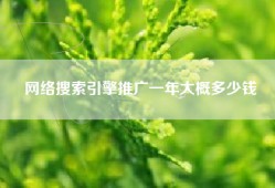 网络搜索引擎推广一年大概多少钱