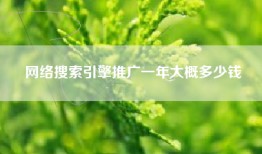 网络搜索引擎推广一年大概多少钱