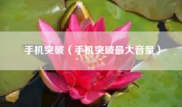手机突破（手机突破最大音量）