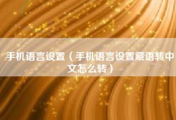 手机语言设置（手机语言设置藏语转中文怎么转）