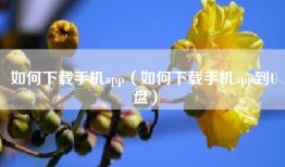 如何下载手机app（如何下载手机app到U盘）