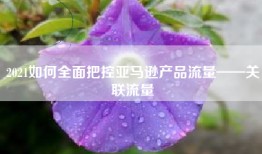 2021如何全面把控亚马逊产品流量——关联流量