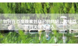 如何在百度搜索到自己的网站，加快百度的关键字录入