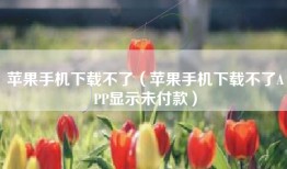 苹果手机下载不了（苹果手机下载不了APP显示未付款）