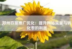 郑州百度推广优化：提升网站流量与转化率的利器