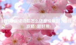 抖音申诉成功后怎么还是没解封 2024技术攻略!(超好用)