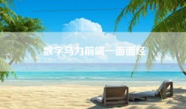 数字马力前端一面面经
