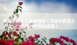 苹果手机怎么查序列号（苹果手机怎么查序列号辨别真假）