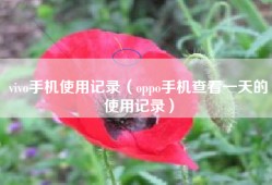 vivo手机使用记录（oppo手机查看一天的使用记录）