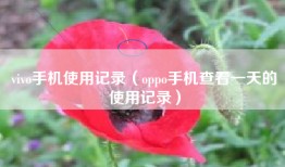 vivo手机使用记录（oppo手机查看一天的使用记录）