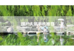 国产大屏手机推荐