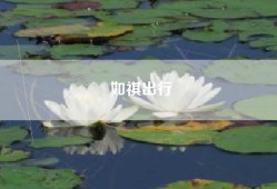 如祺出行