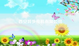西安异步电机有限公司