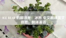 ICE BEAR 的翻译是：冰熊 中文翻译英文意思，翻译英语