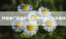 网络推广的最好方法_网络推广引流最快方法